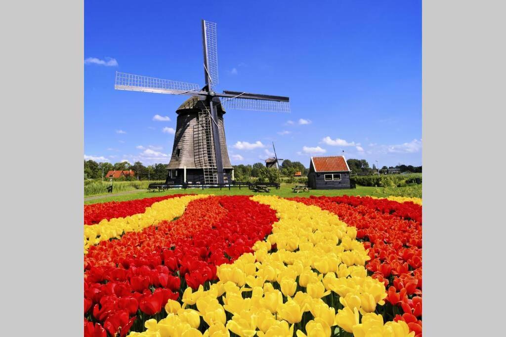 Oudesluis  Tiny House Holland 빌라 외부 사진